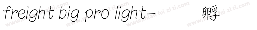 freight big pro light字体转换